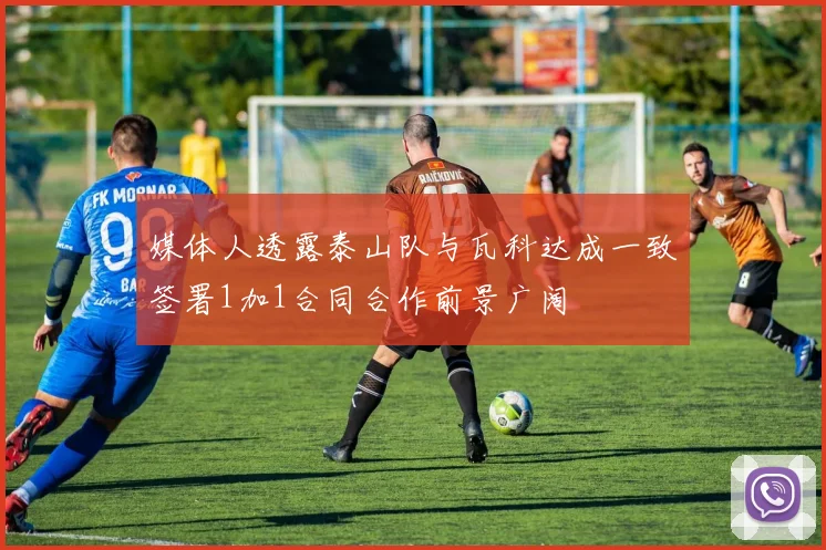 媒体人透露泰山队与瓦科达成一致签署1加1合同合作前景广阔